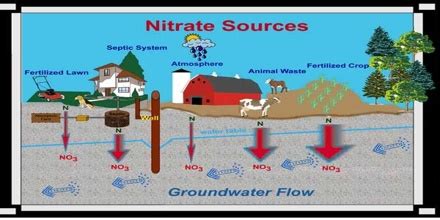 About Nitrate - Assignment Point