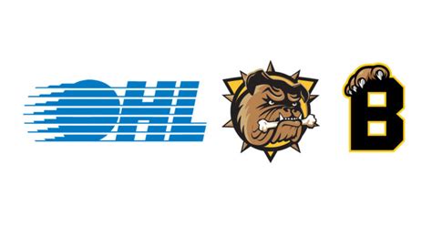 OHL Announces Temporary Relocation of Hamilton Bulldogs Franchise to ...