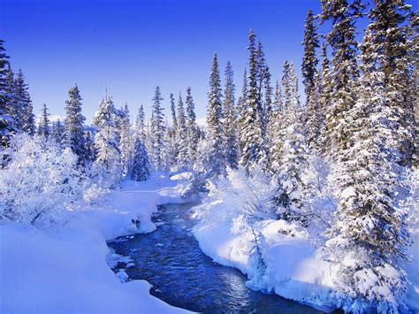 Snow Backgrounds and Wallpaper - WallpaperSafari