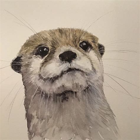 Otter drawings · Sketch a Day