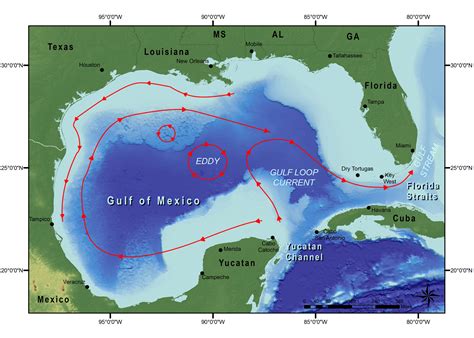 NOAA Ship Okeanos Explorer: Gulf of Mexico 2017: Mission Logs: Gulf of ...