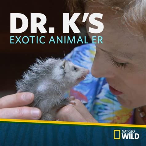 Watch Dr. K's Exotic Animal ER Episodes | Season 3 | TVGuide.com