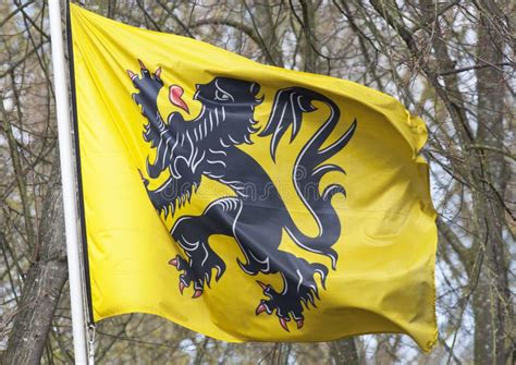 Flemish flag stock image. Image of symbolism, flanders - 33169345