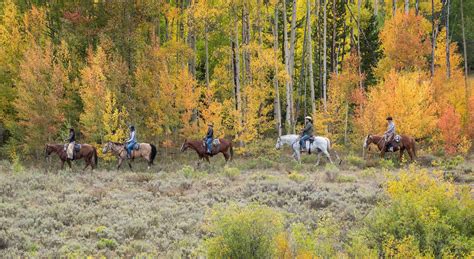 Rocky Mountain Attractions in Winter Park and Fraser, Colorado