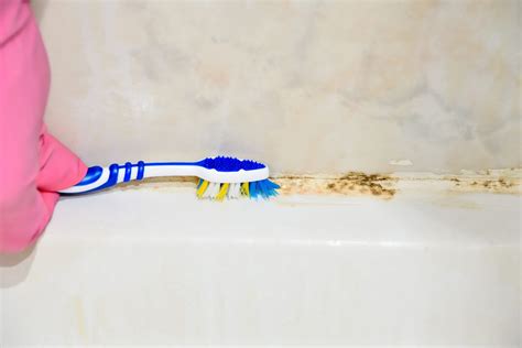 Solutions For Mold Removal In Your Bathroom