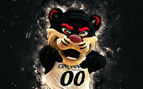 Download wallpapers Bearcat, 4k, mascot, Cincinnati Bearcats, basketball, abstract art, creative ...