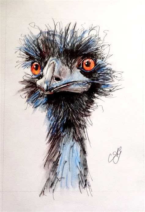 "I'll have what she's having" Watercolour and ink 30cm x 21cmSOLD | Pelican art, Animal ...