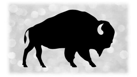 Animal Clipart: Simple and Easy Black Solid Buffalo or Bison | Etsy Canada