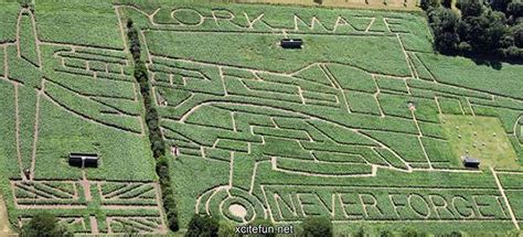 Amazing Art on Field of Maize Plants - XciteFun.net