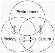 Biocultural Anthropology - Assignment Point