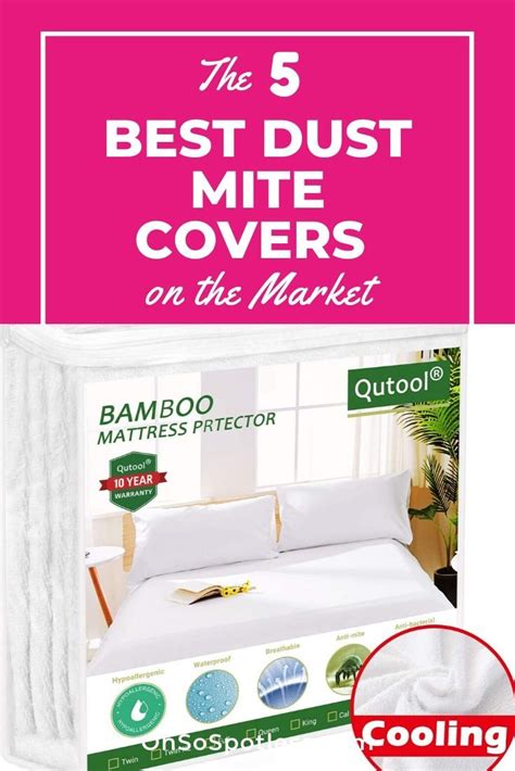 The 5 Best Dust Mite Covers on the Market | Dust mites, Cleaning dust ...