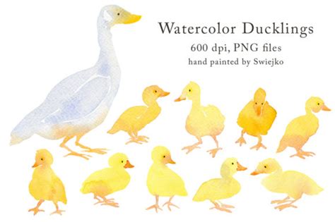 Watercolor Duck with Ducklings, Country Graphic by swiejko · Creative ...