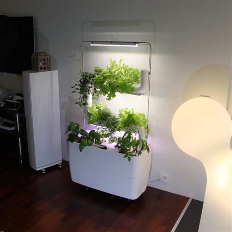 Supragarden® Hydroponic System Kits with 2 Plantsteps® green wall