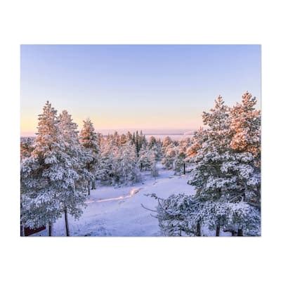 Lapland Finland Lapland winter landscape 1 Landscape Art Print/Poster - Bed Bath & Beyond - 35157434