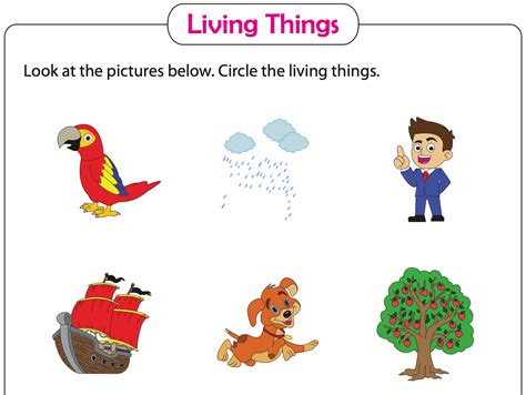 20 Living vs Non-Living Science Activities - Teaching Expertise