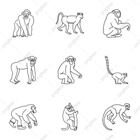 Jungle Monkey Vector Design Images, Jungle Monkey Icon Set, Happy ...