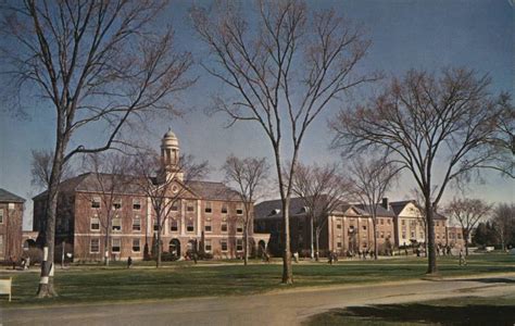 University of Maine Orono, ME Bill Bardsley Postcard