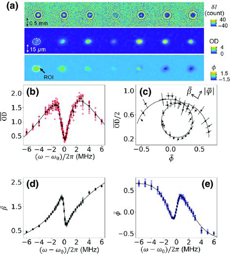 Spectroscopic imaging across the EIT resonance. (a) From top to bottom ...