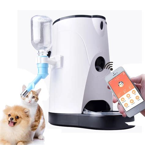 Never Worry About Feeding Fido Again: Top 10 Automatic Dog Food and Water Dispensers for Easy ...