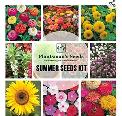 Summer flower seeds kit(Set of 12 Selected Varieties) - Buy Online ...