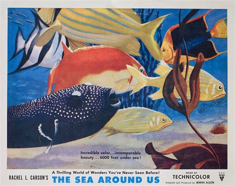 The Sea Around Us Original 1953 U.S. Scene Card - Posteritati Movie ...