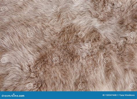 Brown Rabbit Fur Texture, Animal Skin Background Stock Photo - Image of detail, fluffy: 150347448