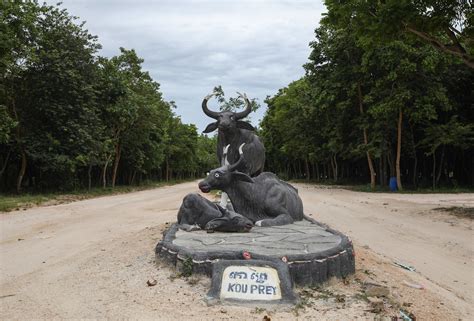 The kouprey: on the trail of Cambodia’s elusive wild cattle