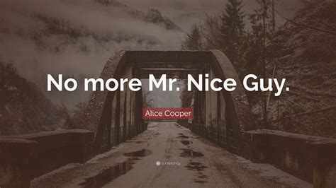 No More Mr Nice Guy Quotes - Indira Minnaminnie