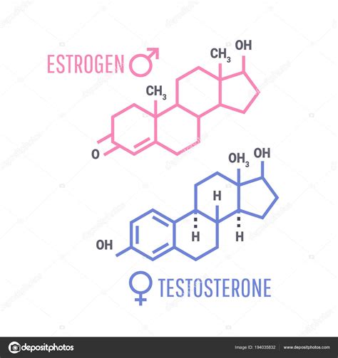 Sex hormones molecular formula — Stock Vector © irinashatilova #194035832