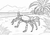 Crabs — Coloring Pages Free & Printable sketch template