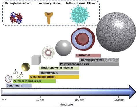 Nanoparticles - Emerging nanotechnologies for diagnostics, drug ...