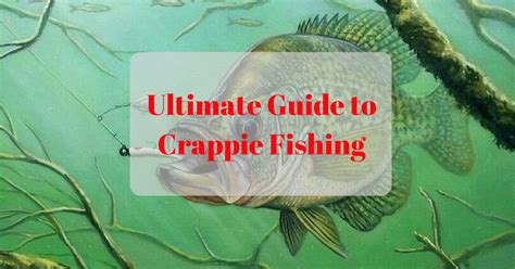 Crappie Fishing Tips – The Ultimate Guide