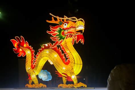 List of countries with a dragon on their flag and what it means - Tuko.co.ke