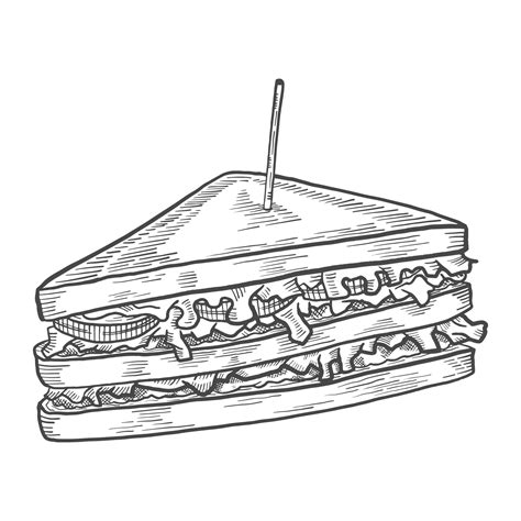 Sandwich Outline Vector Art, Icons, and Graphics for Free Download