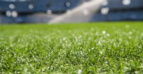 How Long Does Artificial Turf Last? - US Turf San Diego