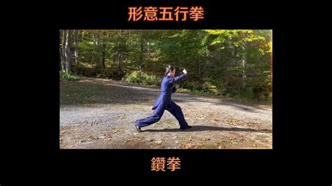 中华武术形意五行拳 演练者：欧阳丽Chinese martial arts Five Elements forms of Xingyiquan practitioner: Ouyang Li ...