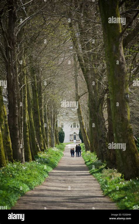 Saltram House gardens, near Plymouth, England Stock Photo - Alamy