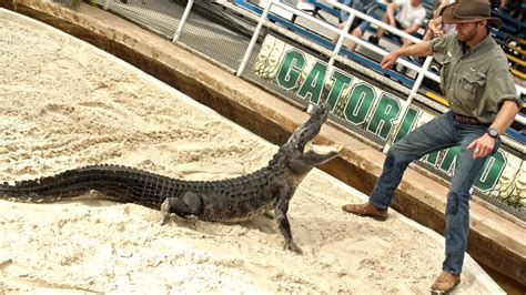 Gatorland Orlando - tickets, prijzen, wat te verwachten