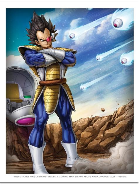 Cosplay: The Real Prince of All Saiyans- Prince/Vegeta Cosplay ...