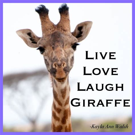 a giraffe with the words live love laugh giraffe