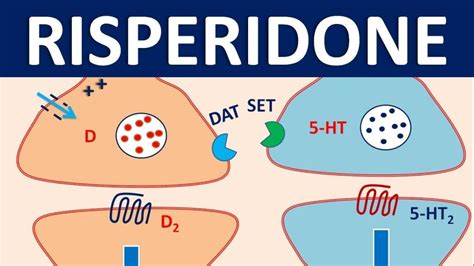 Understanding Risperidone: Side Effects and Alternatives