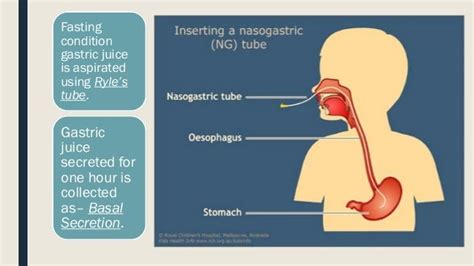 Gastric function test 2