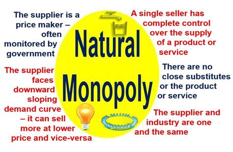 What is a Natural Monopoly? Definition and Meaning