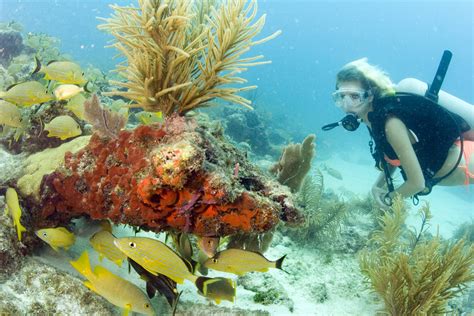 Celebrate the Florida Keys National Marine Sanctuary’s 25th ‘Birthday’