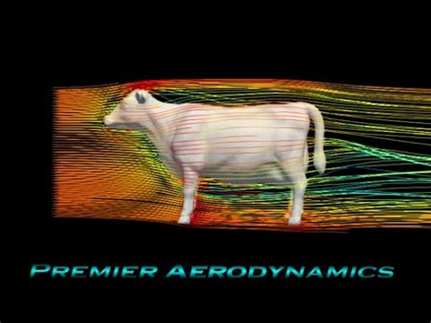 Aerodynamics of a Cow - Premier Aerodynamics - YouTube