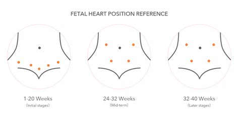 7 Tips For Finding Fetal Heartbeat with Baby Doppler [A Comprehensive – SpringBud