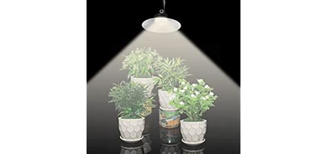 Solar Powered Grow Lights - Green Yard Magazine