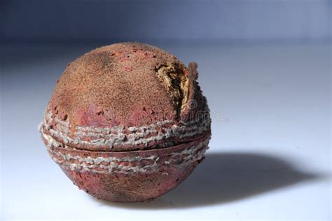 Old cricket ball stock photo. Image of weathered, circular - 5551542