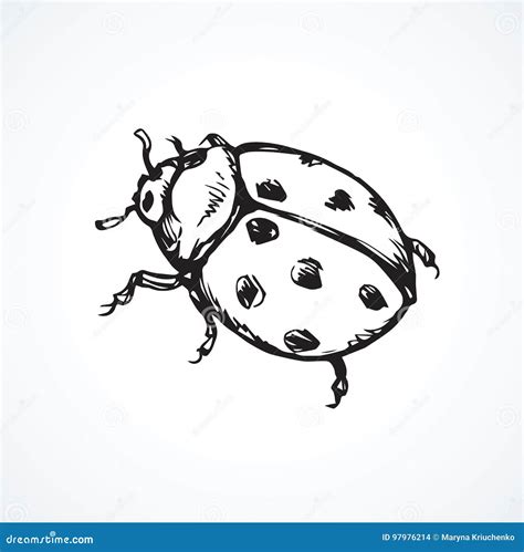 Ladybug Drawing Stock Illustrations – 10,956 Ladybug Drawing Stock Illustrations, Vectors ...