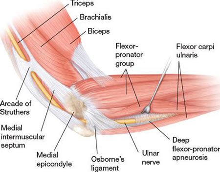 Elbow Injury Treatment NYC | Elbow Injury Doctors New York